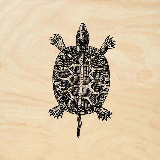 StampaFe Dime store turtle - Rubber Stamp 1 x 1.5