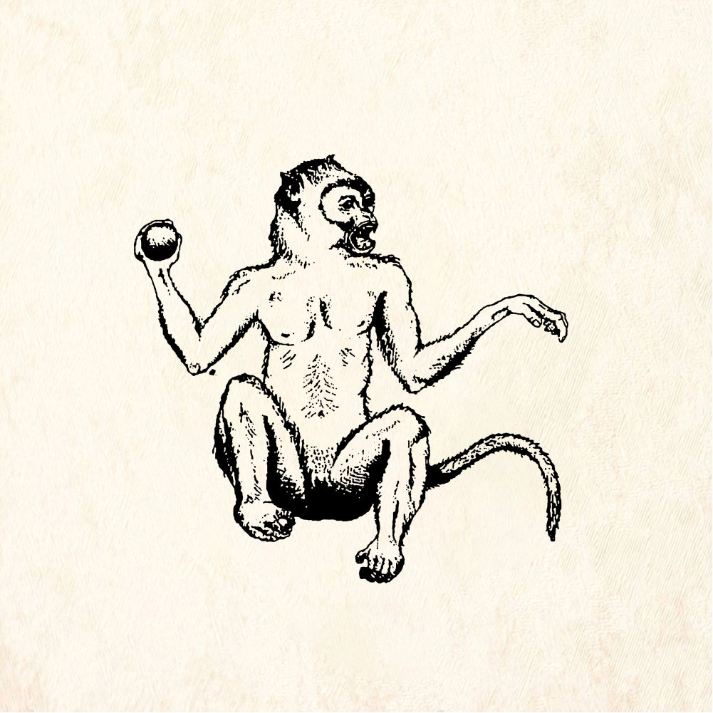 StampaFe Monkey Jack - Rubber Stamp 1.25 x 1.5