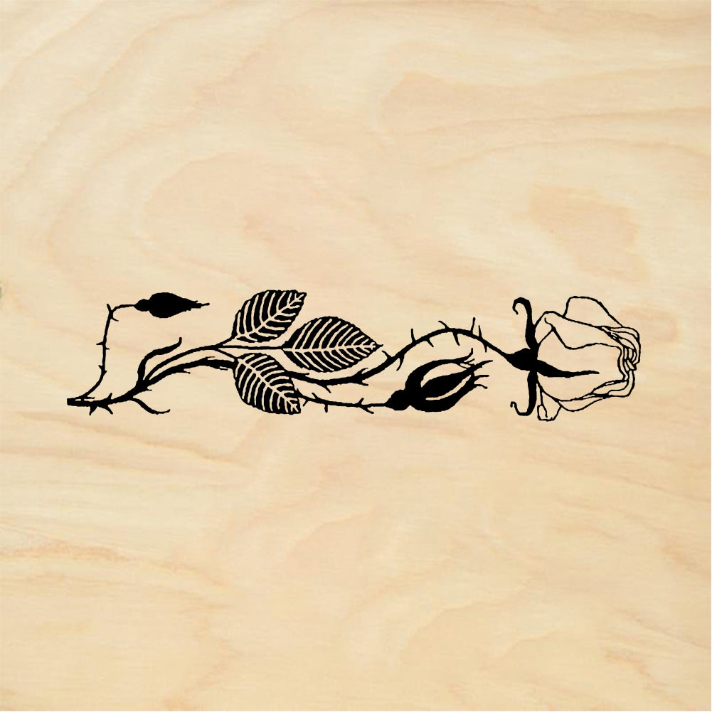 StampaFe Rose border - Rubber Stamp 4.25 x 1