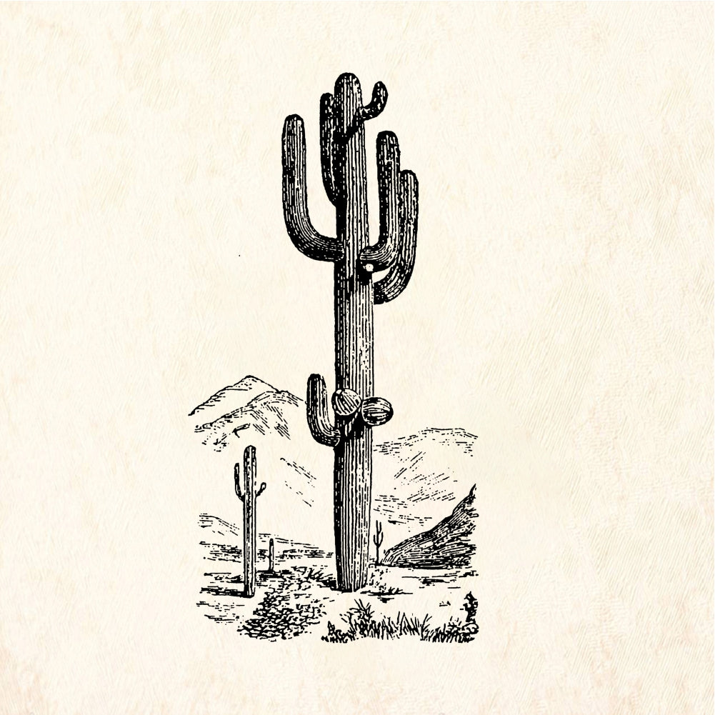 StampaFe Saguaro Scene Southwest Desert Rubber Art Stamp