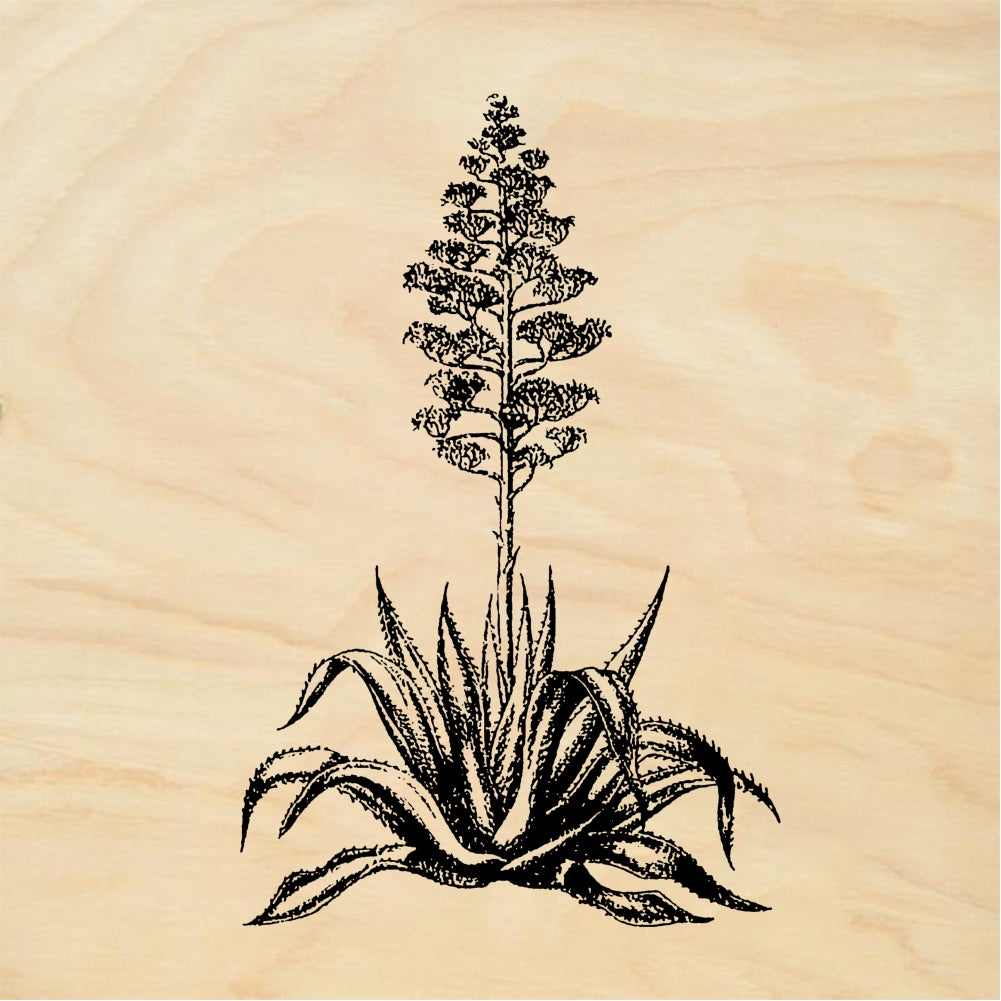 StampaFe Century plant - Rubber Stamp 1.25 x 2