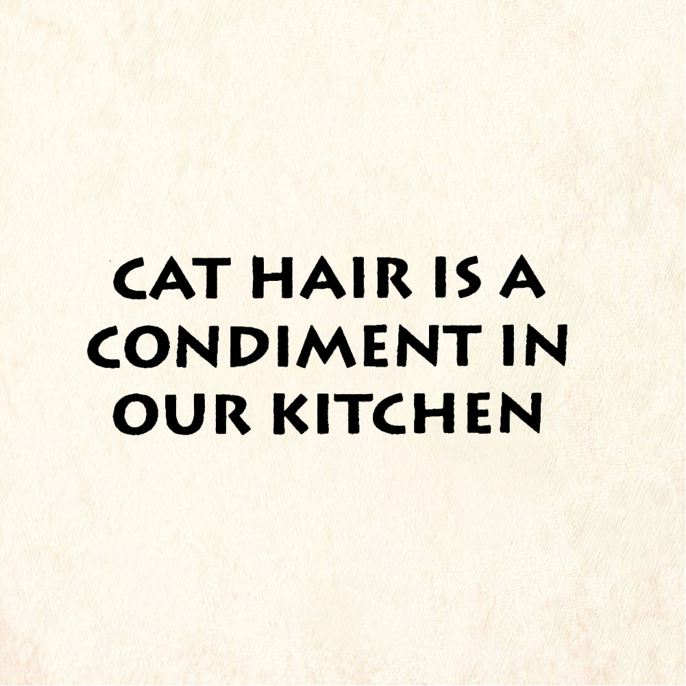 StampaFe CAT HAIR CONDIMENT - Rubber Stamp 2.25 x 1