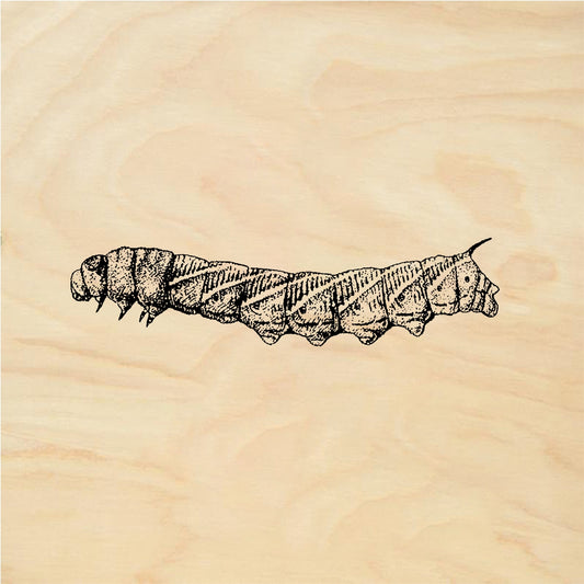 StampaFe Tomato worm - Rubber Stamp 2 x 0.5