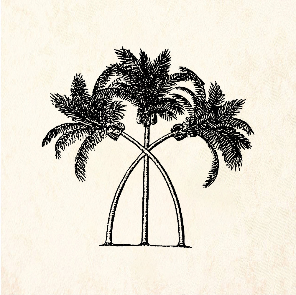 StampaFe Three palms Three Palm Trees - Rubber Stamp 2.75 x 2.5