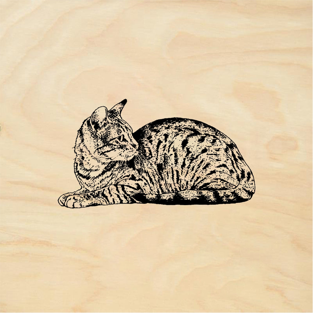 StampaFe Cat Mixed Breed - Rubber Stamp 1.75 x 1.25