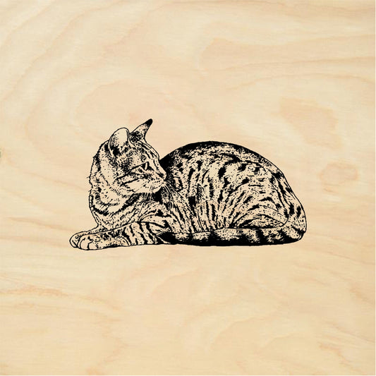 StampaFe Cat Mixed Breed - Rubber Stamp 1.75 x 1.25
