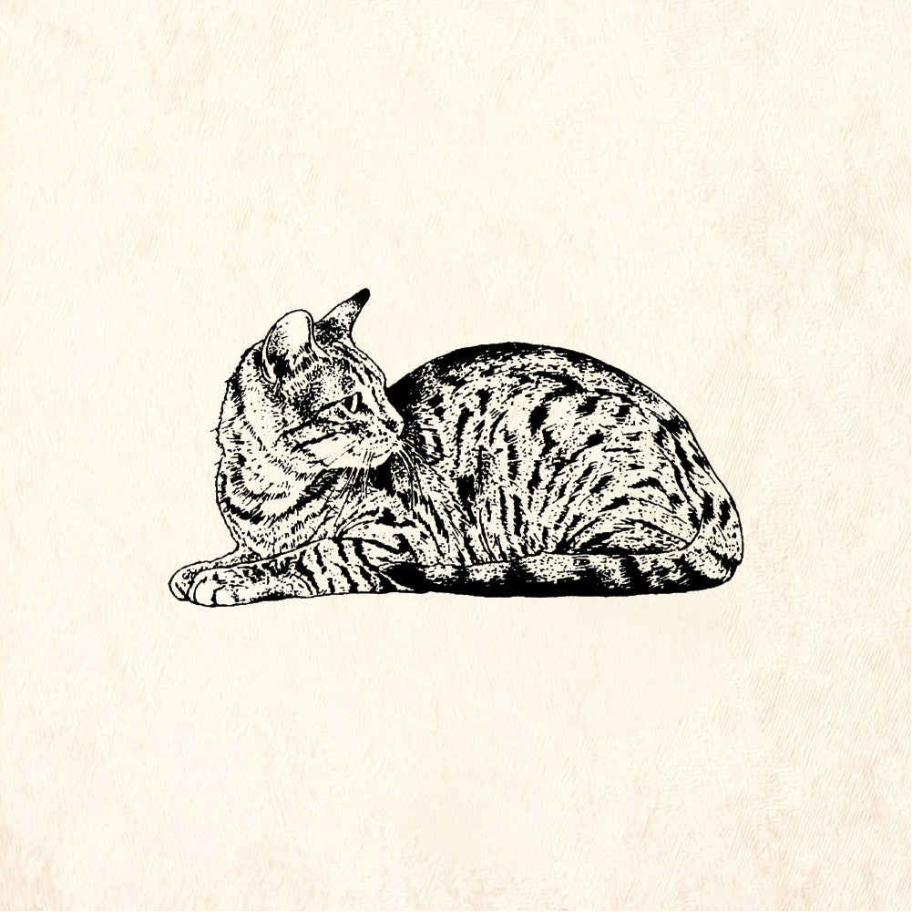 StampaFe Cat Mixed Breed - Rubber Stamp 1.75 x 1.25