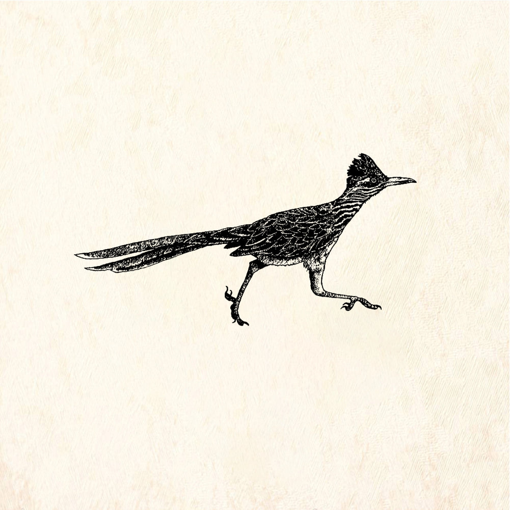 StampaFe Roadrunner - Rubber Stamp 2 x 1.5