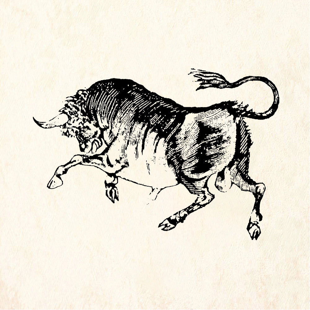 StampaFe Raging bull - Rubber Stamp 2 x 1.5