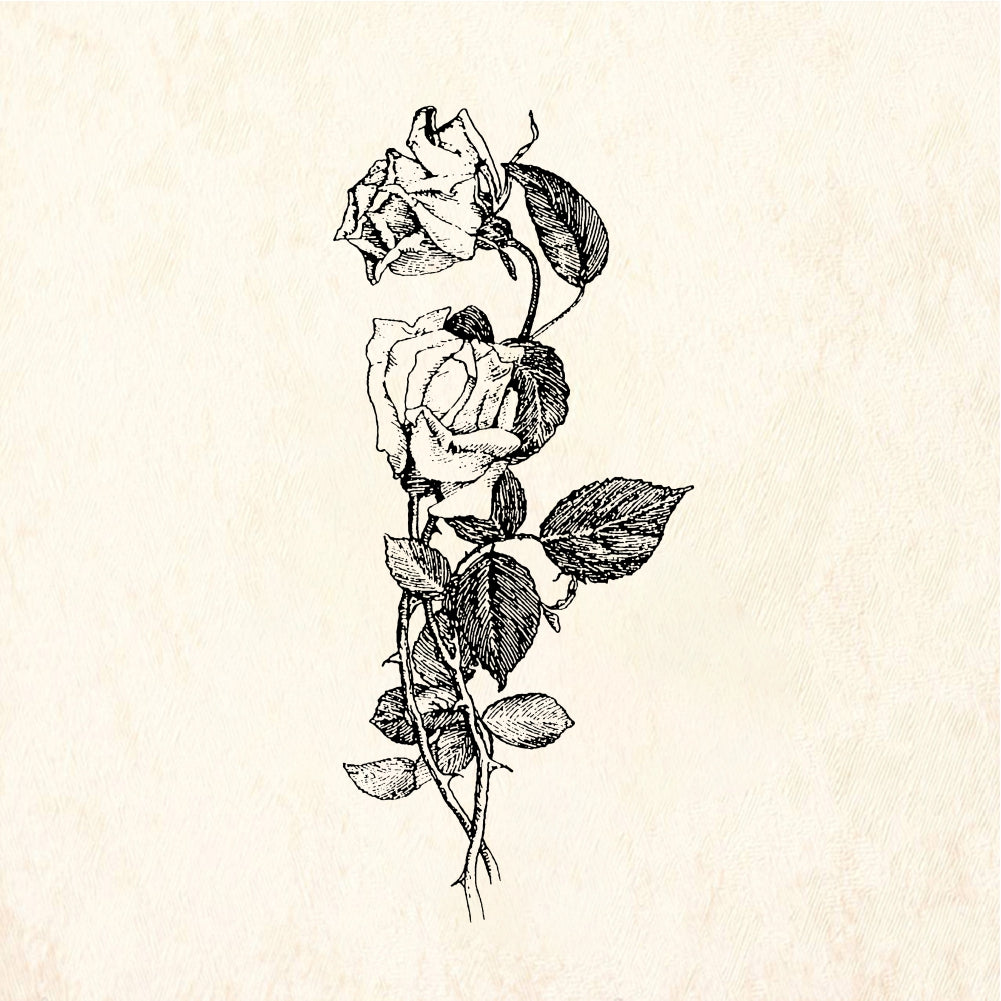 StampaFe Two roses - Rubber Stamp 1.25 x 1.25