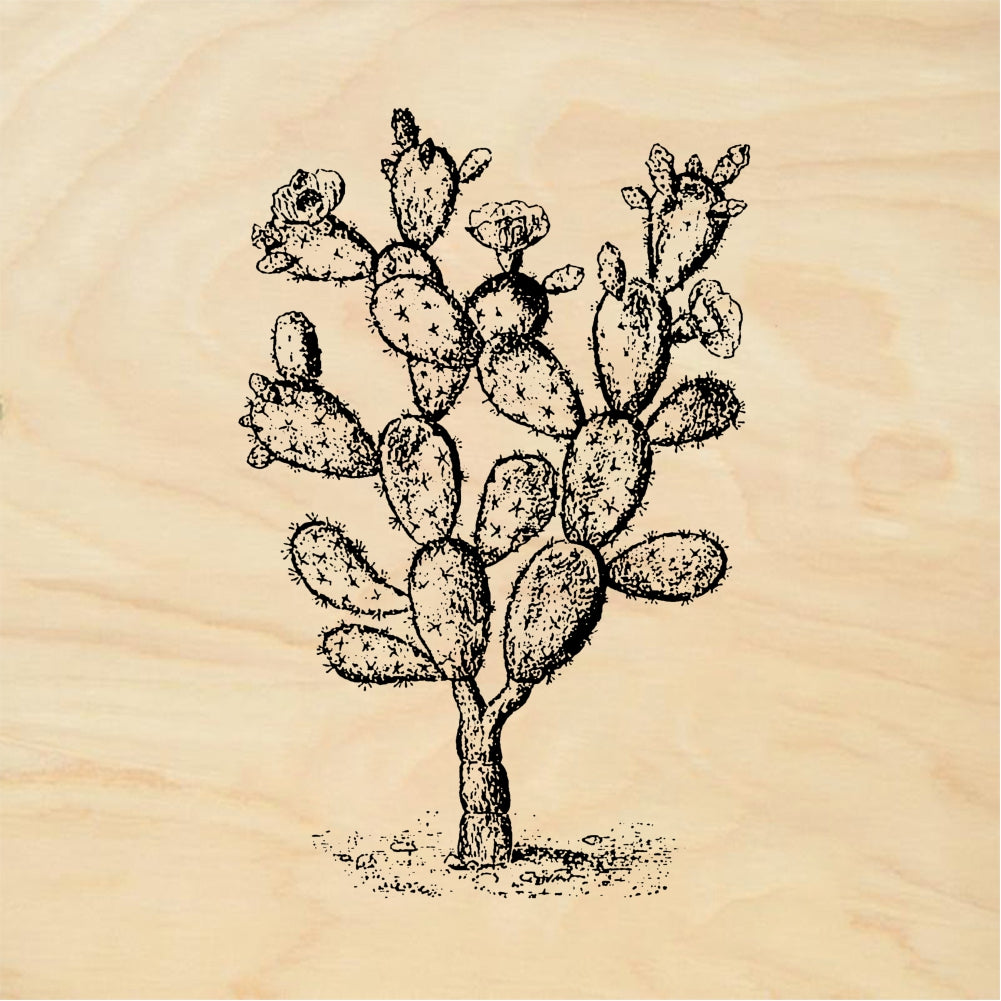 StampaFe Big Prickly Pear Cactus Rubber Art Stamp