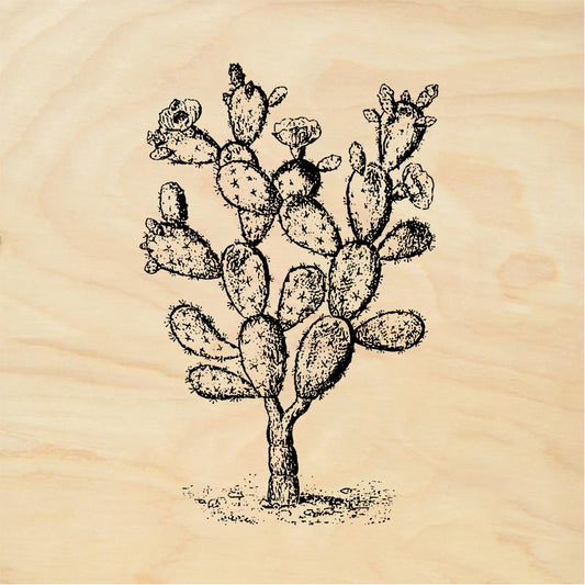 StampaFe Big prickly pear Prickly Pear Cactus - Rubber Stamp 1.5 x 2