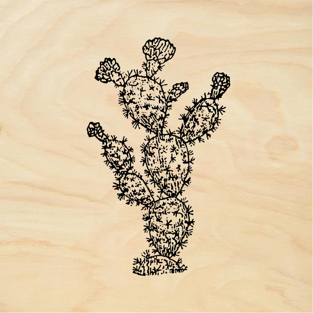 StampaFe Little Prickly Pear Cactus Rubber Art Stamp
