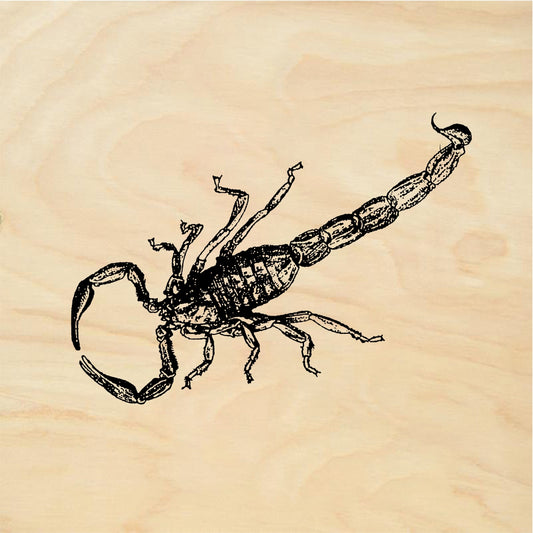StampaFe Big scorpion Large Scorpion - Rubber Stamp 1.75 x 1.5