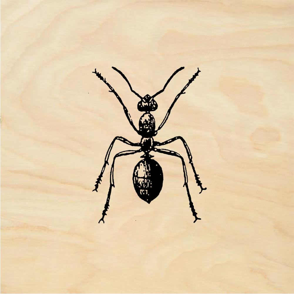 StampaFe Red ant - Rubber Stamp 0.75 x 0.75
