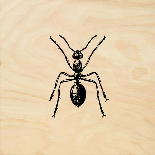 StampaFe Red ant - Rubber Stamp 0.75 x 0.75