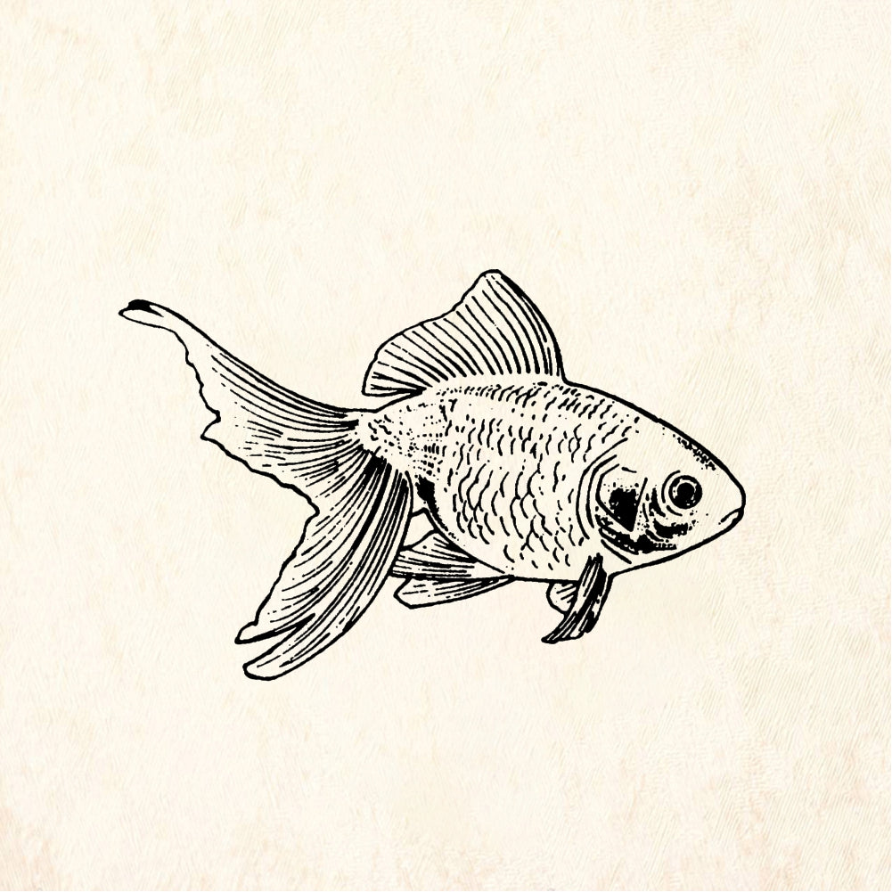 StampaFe Fantail goldfish - Rubber Stamp 1.5 x 1.25