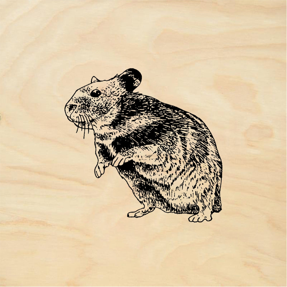 StampaFe Hamster - Rubber Stamp 1.25 x 1