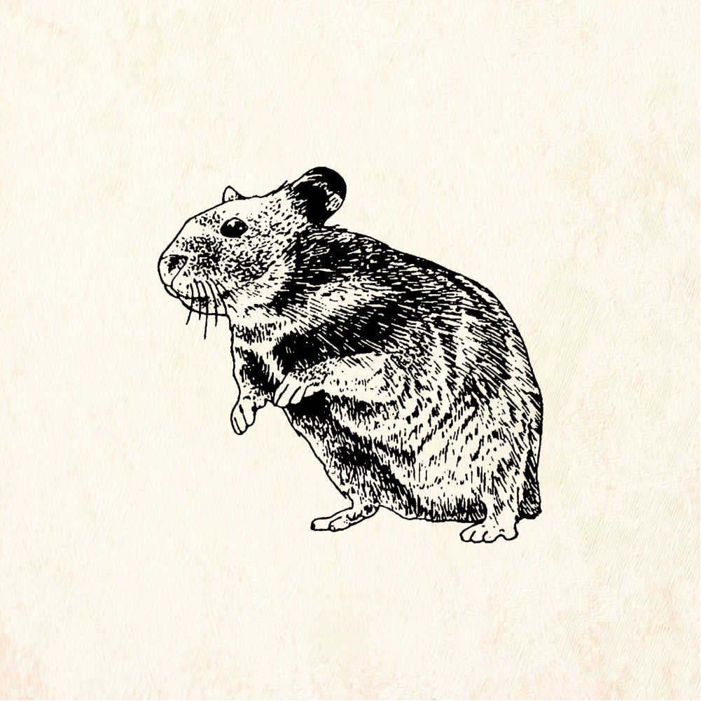 StampaFe Hamster - Rubber Stamp 1.25 x 1