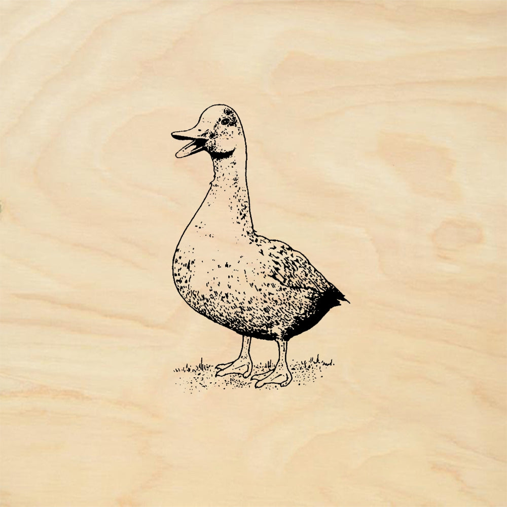 StampaFe Duck Rubber Stamp 1 x 1.5