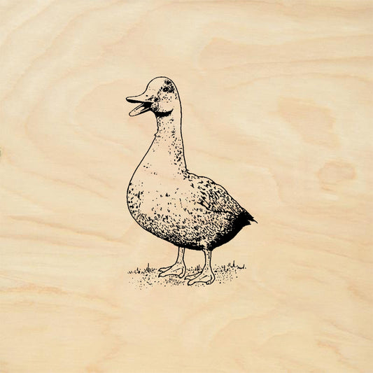 StampaFe Duck Rubber Stamp 1 x 1.5
