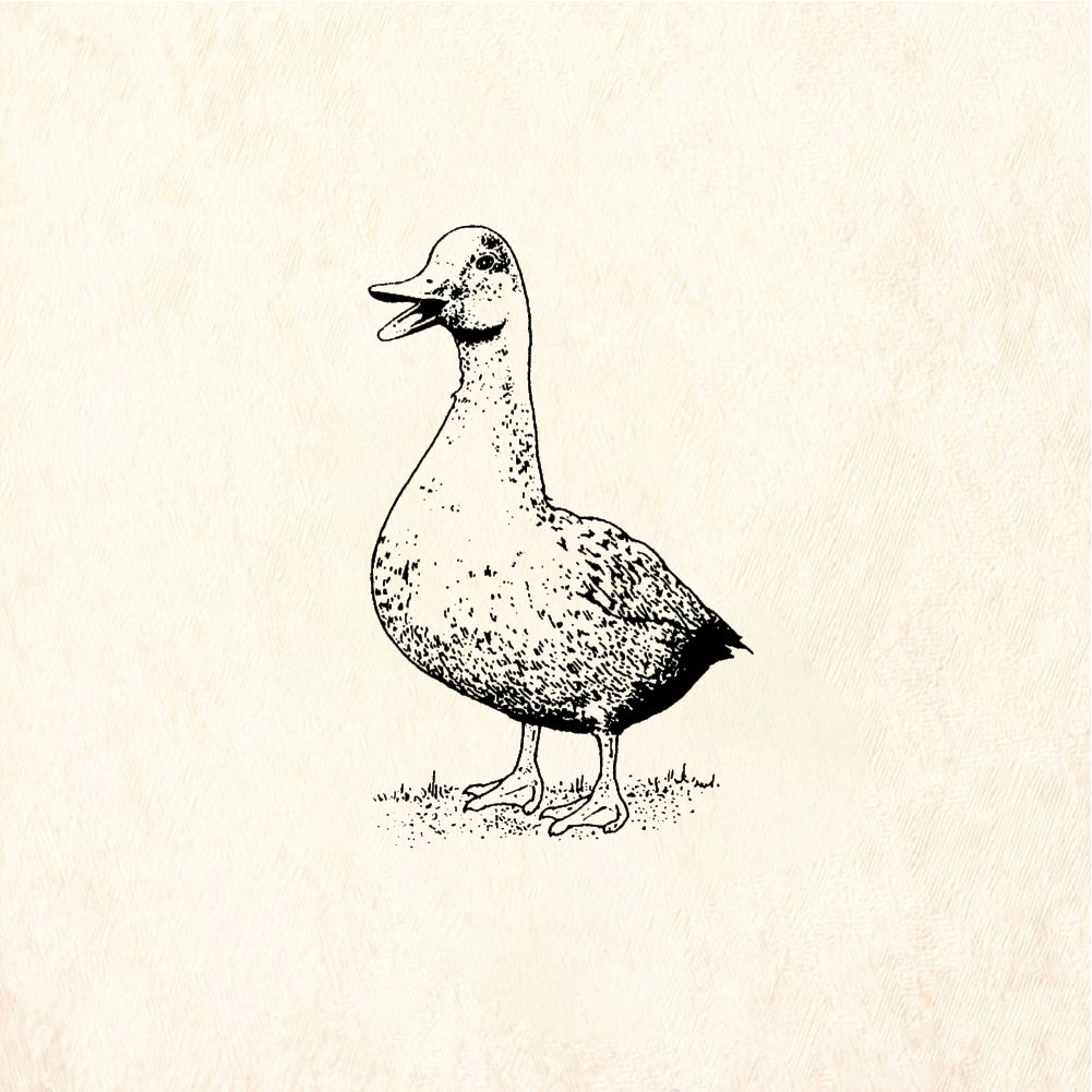 StampaFe Duck Rubber Stamp 1 x 1.5