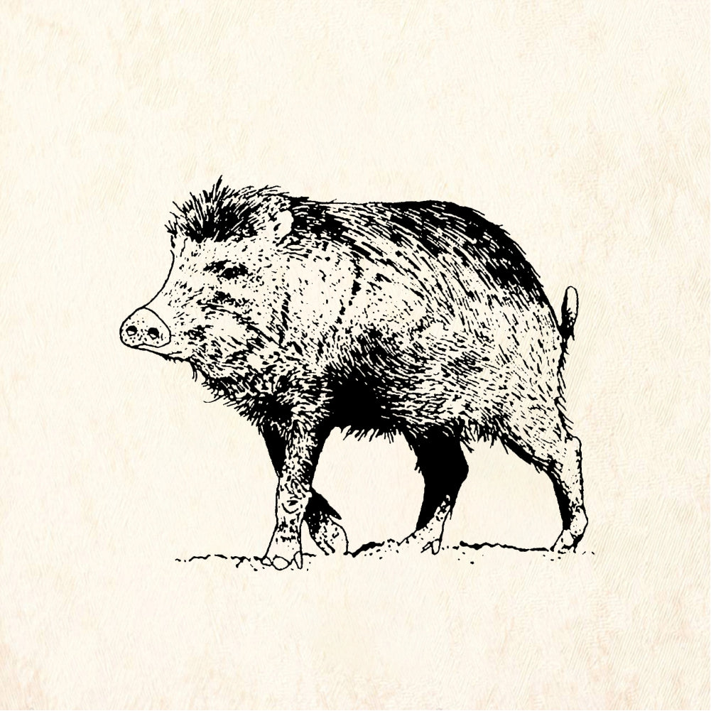 StampaFe Javalina - Rubber Stamp 2 x 1