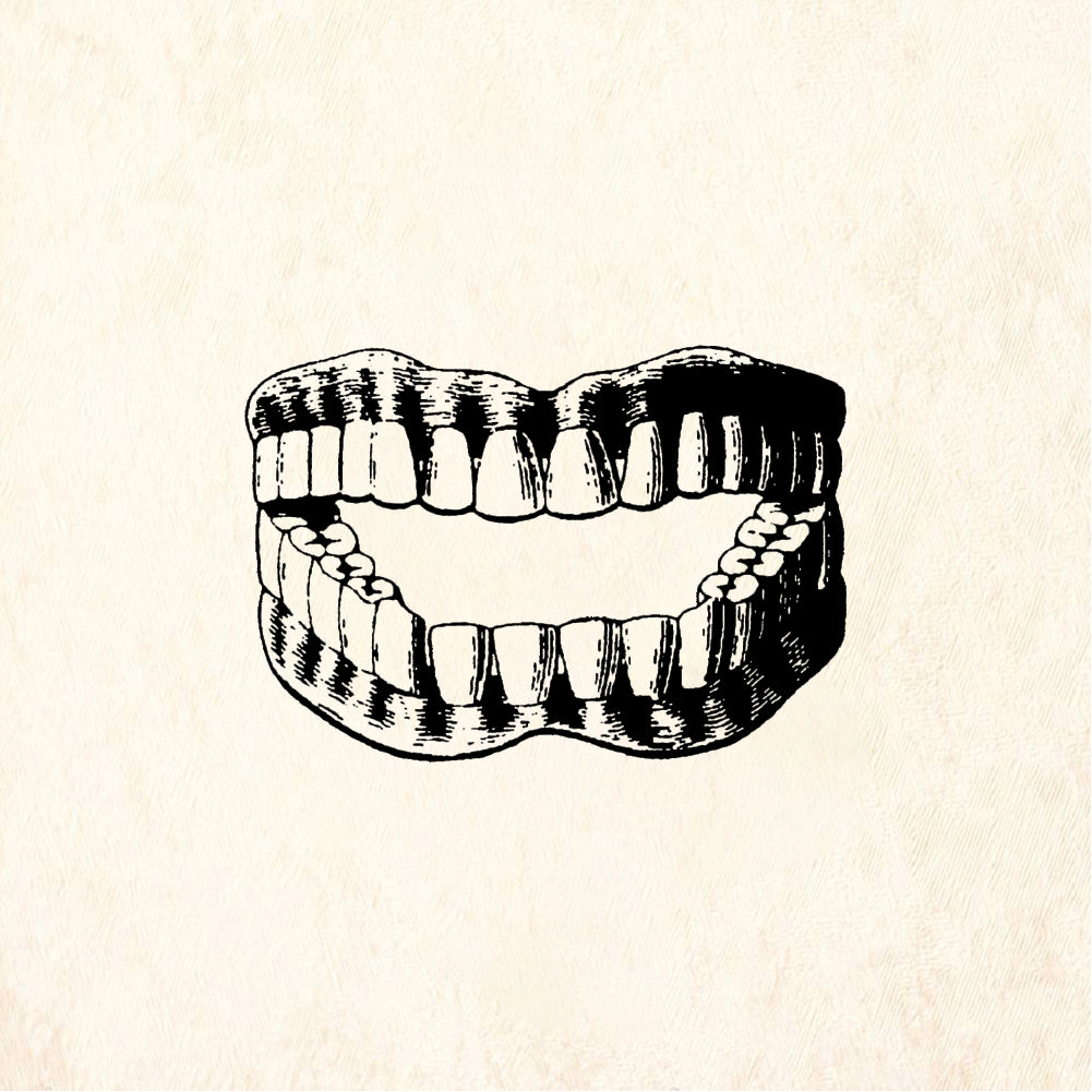 StampaFe Dentures - Rubber Stamp 1.25 x 0.75