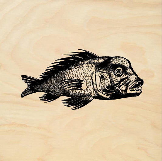 StampaFe Hungry Fish - Rubber Stamp 2.75 x 2