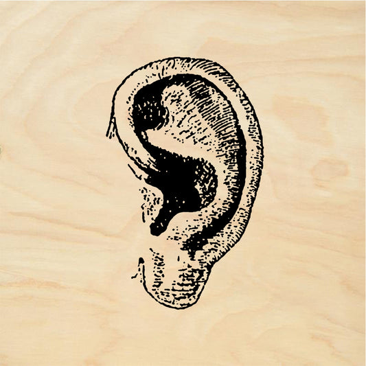 StampaFe Ear, right Ear - Rubber Stamp 1 x 0.75