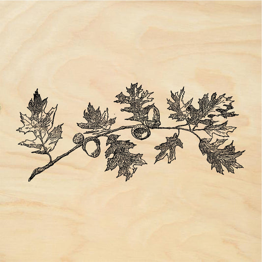 StampaFe Oak Branch with Acorns Rubber Stamp 3.5 x 1.5