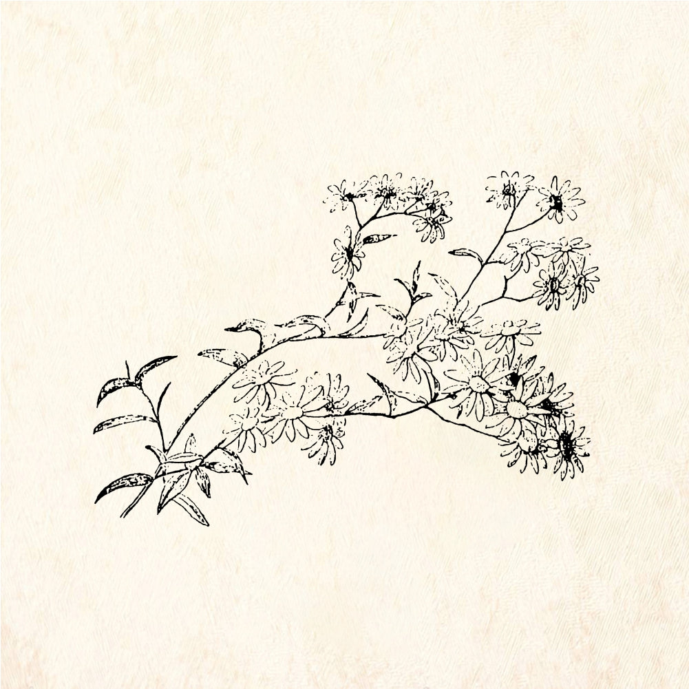 StampaFe Daisy branch - Rubber Stamp 2.5 x 1.5