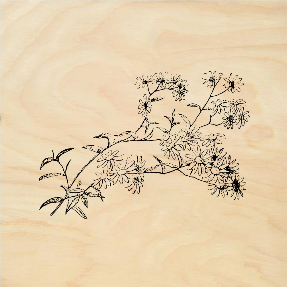 StampaFe Daisy branch - Rubber Stamp 2.5 x 1.5