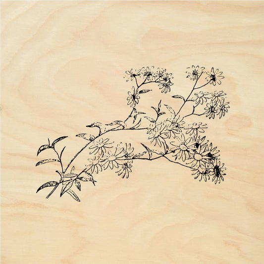 StampaFe Daisy branch - Rubber Stamp 2.5 x 1.5