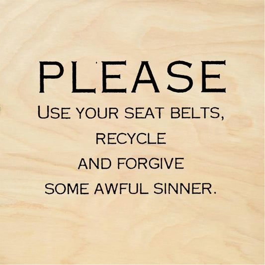 StampaFe PLEASE use your seat belts - Rubber Stamp 1 x 1.25