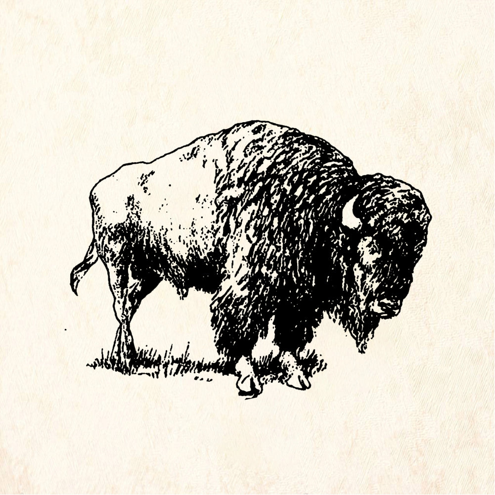 StampaFe American Bison Buffalo Rubber Art Stamp