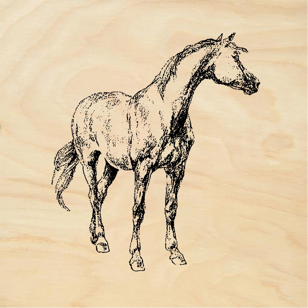 StampaFe Standing horse - Rubber Stamp 2.25 x 2