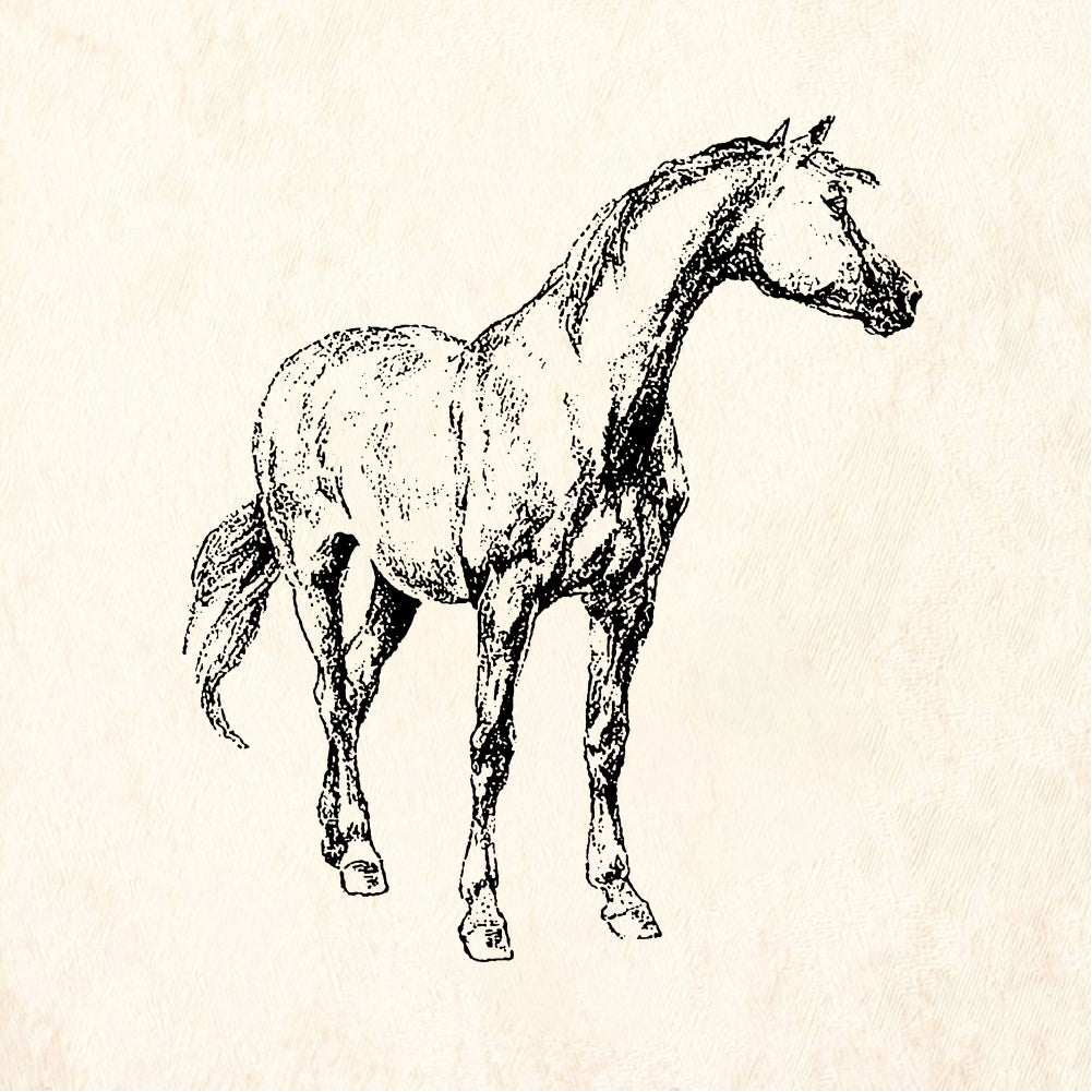 StampaFe Standing horse - Rubber Stamp 2.25 x 2