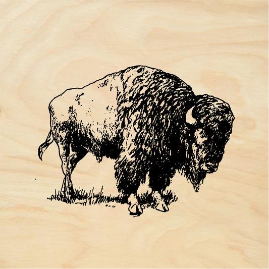 StampaFe Buffalo - Rubber Stamp 1.5 x 1.5