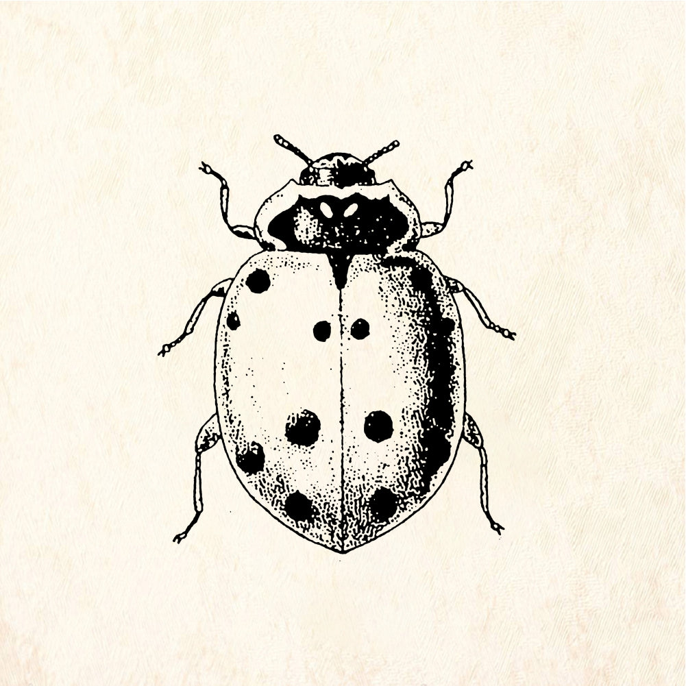 StampaFe Lady bug Ladybug - Rubber Stamp 0.75 x 0.5