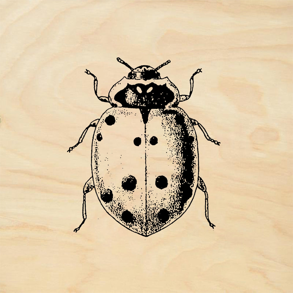 StampaFe Lady bug Ladybug - Rubber Stamp 0.75 x 0.5