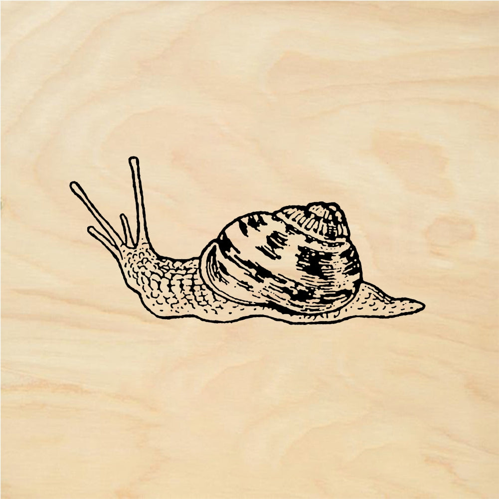 StampaFe Snail - Rubber Stamp 1 x 0.75