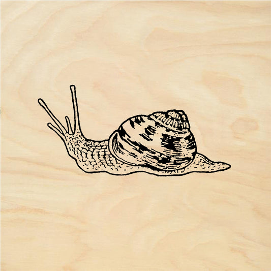 StampaFe Snail - Rubber Stamp 1 x 0.75