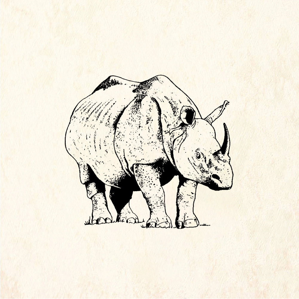 StampaFe Rhino #2 Detailed Rhinoceros - Rubber Stamp 1.75 x 1.75