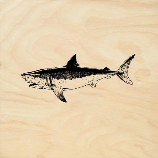 StampaFe Great White Shark Detailed Shark - Rubber Stamp 3.25 x 1.5