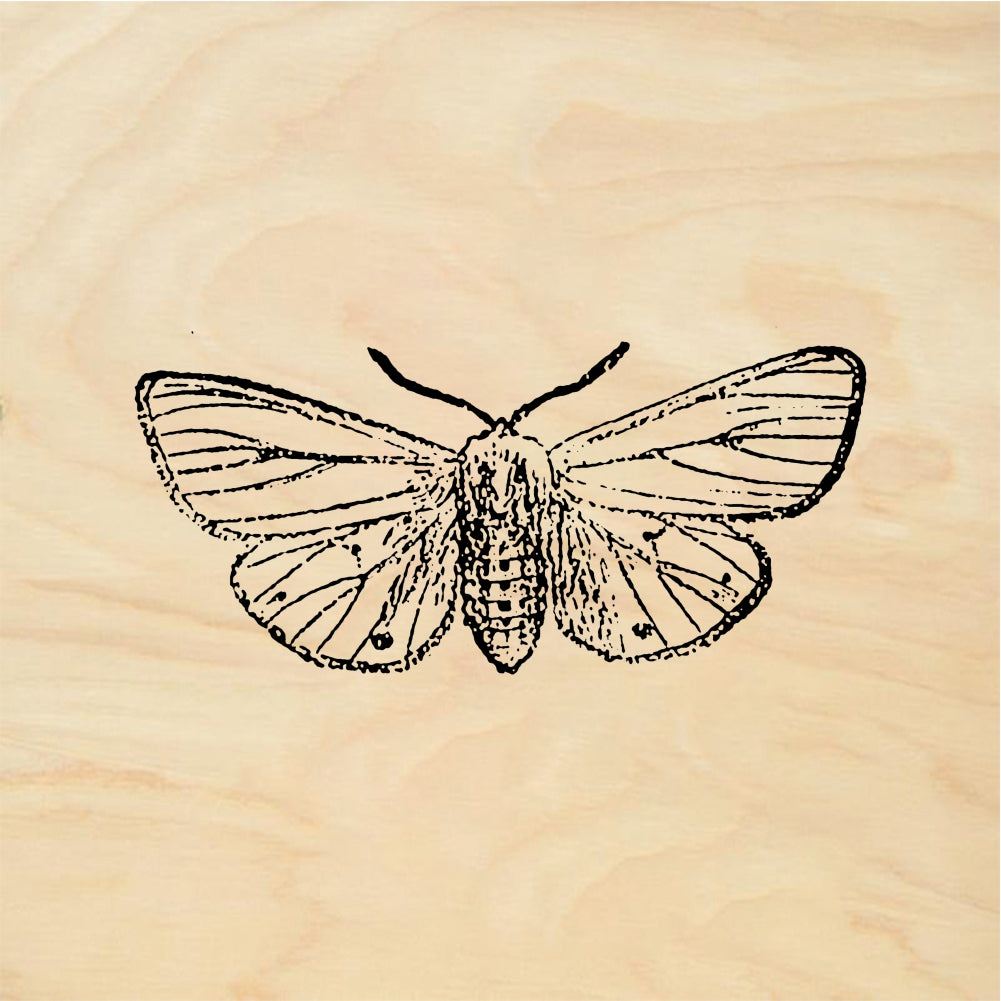 StampaFe Moth - Rubber Stamp 1 x 0.75