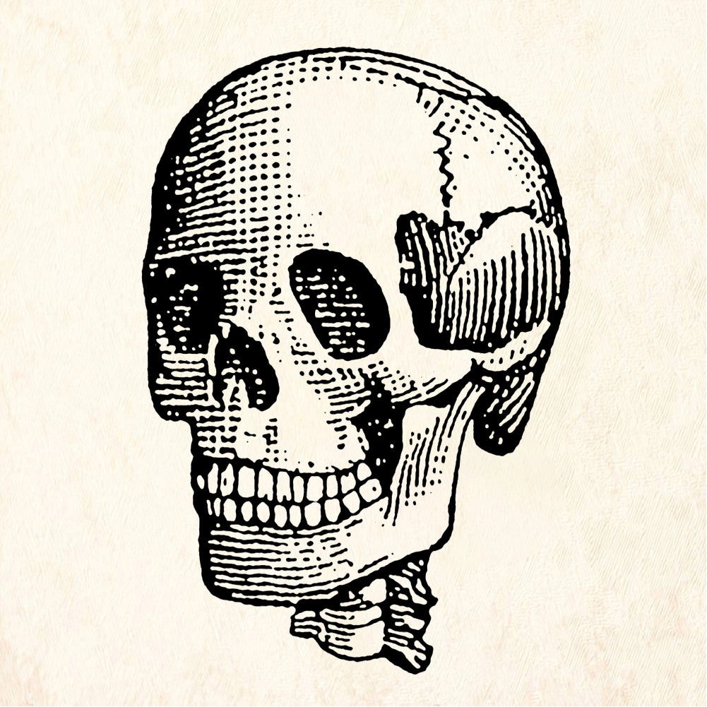 StampaFe StampaFe Jolly Skeleton Rubber Stamp 1 x 1.25
