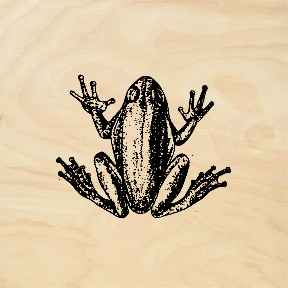 StampaFe Tree frog - Rubber Stamp 1.25 x 1.25