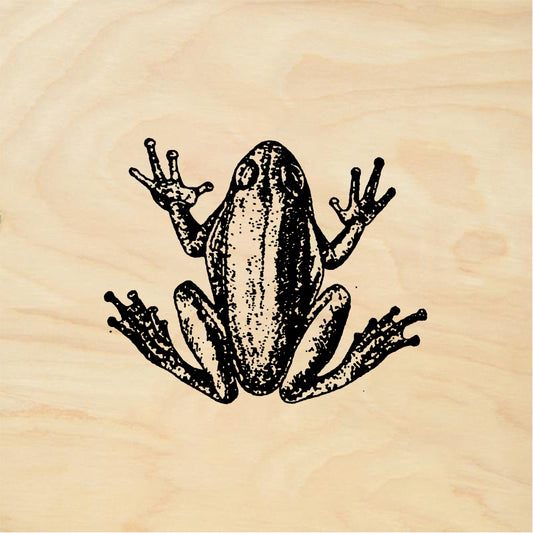 StampaFe Tree frog - Rubber Stamp 1.25 x 1.25