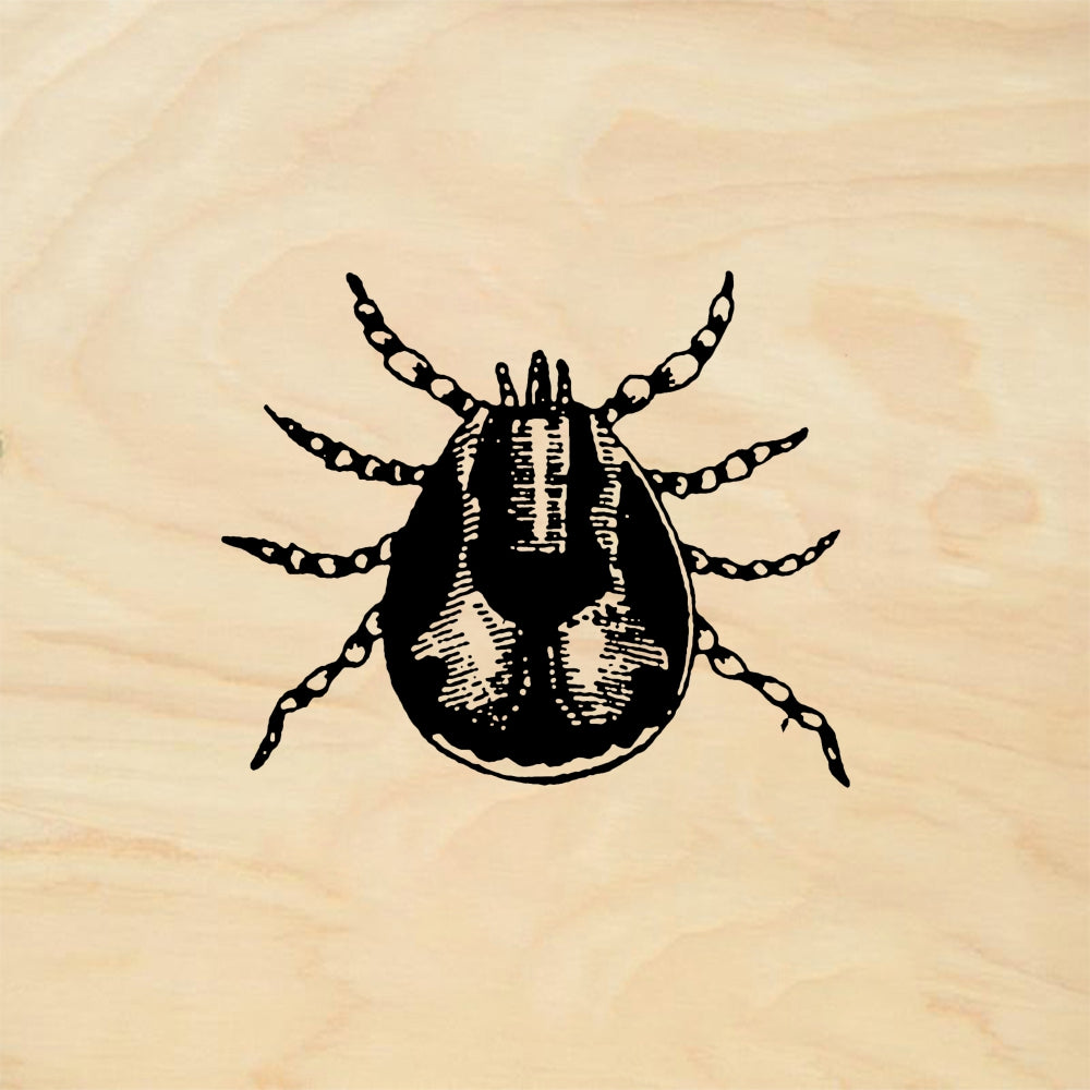 StampaFe Tick Insect - Rubber Stamp 1 x 1